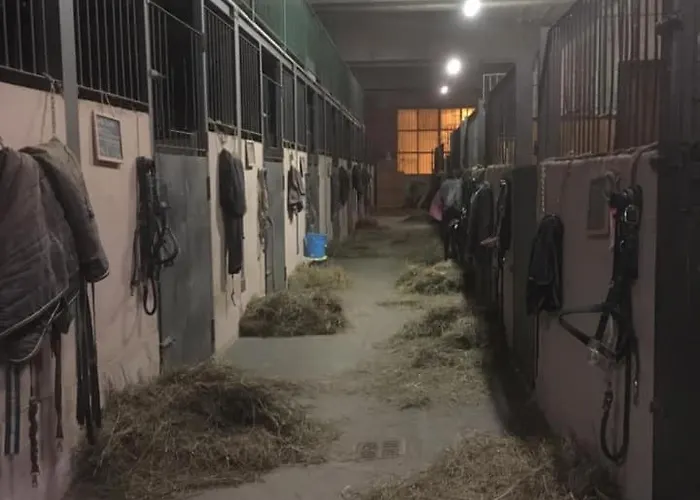 Lions Village * Domodossola